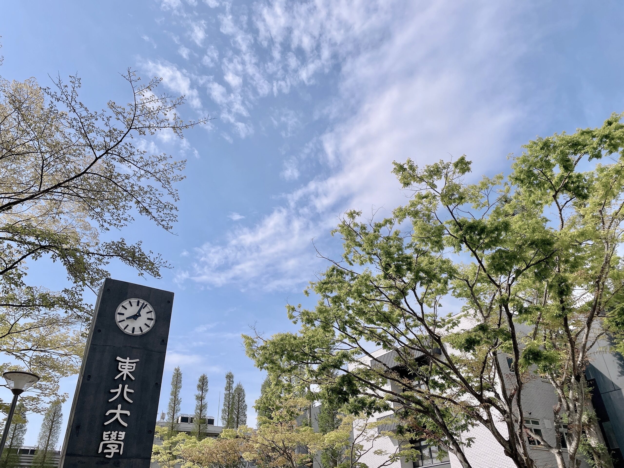 東北大キャンパス